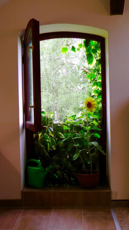 Апартаменти Blumenhaus Фельтен Екстер'єр фото